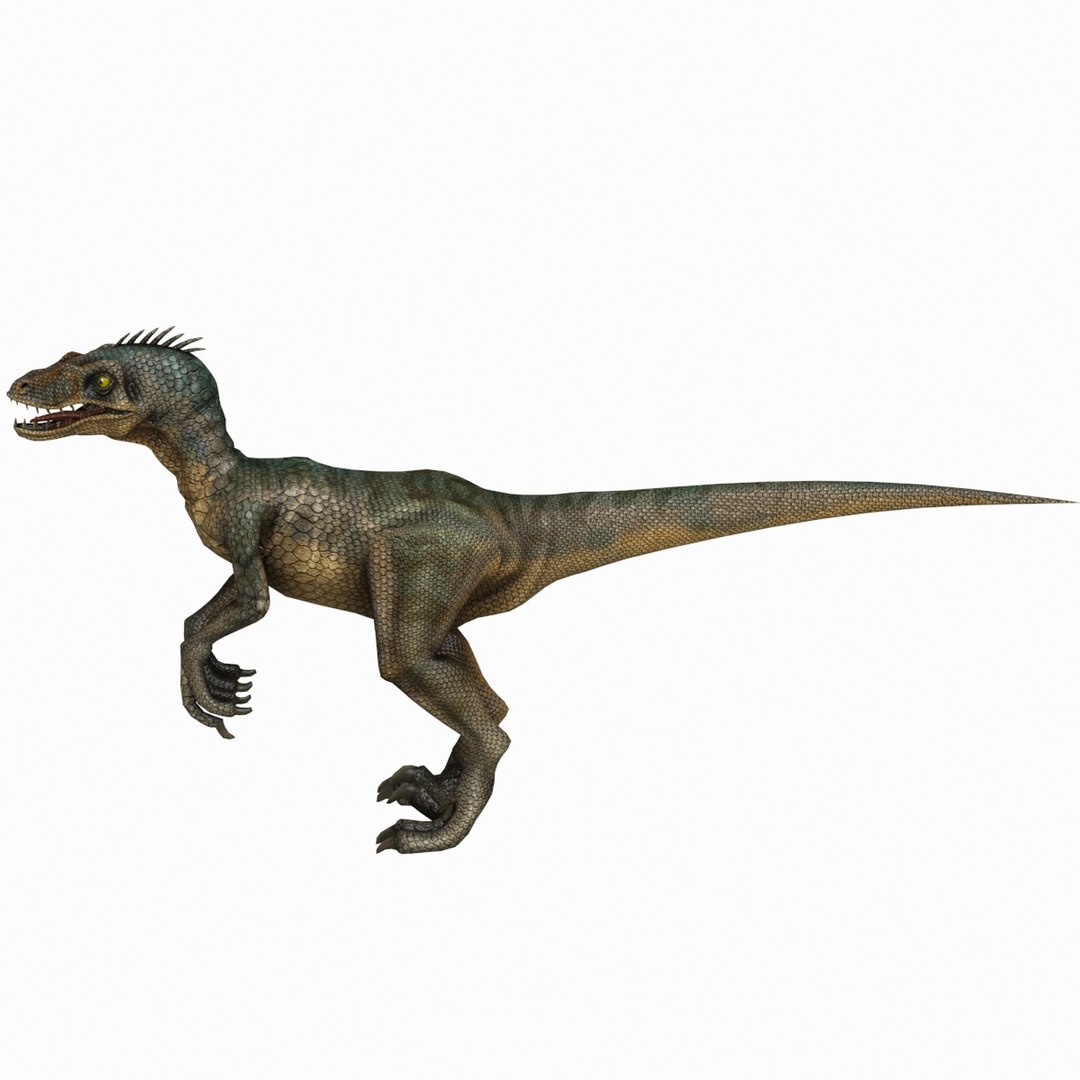 3d 3ds Velociraptor Dinosaur Animation