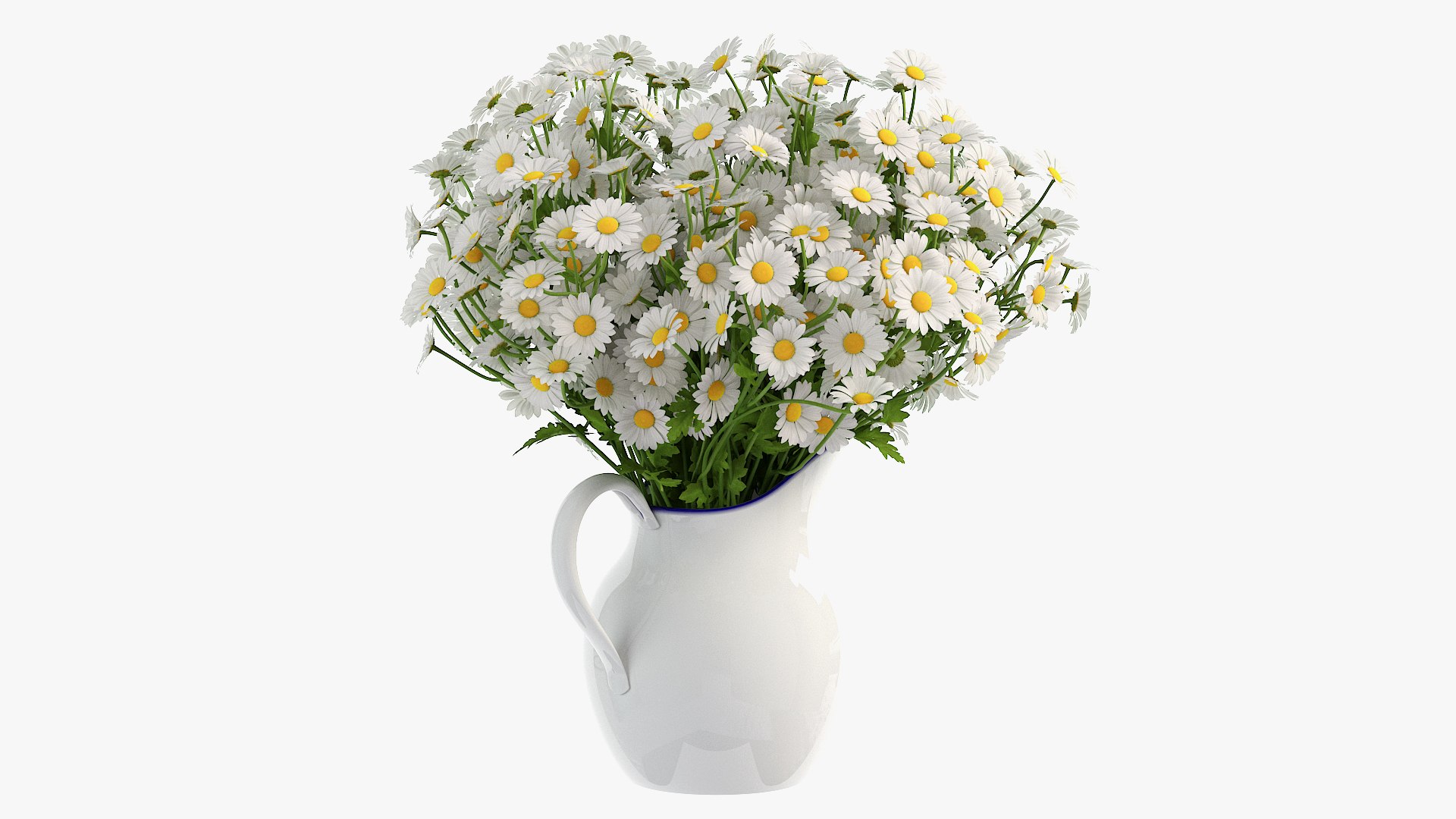 chamomile 3D https://p.turbosquid.com/ts-thumb/5e/TbDtHV/nXCCek6P/6/jpg/1596649064/1920x1080/fit_q87/fafc2491f1515886a71b4dc807b4e247f09c8896/6.jpg