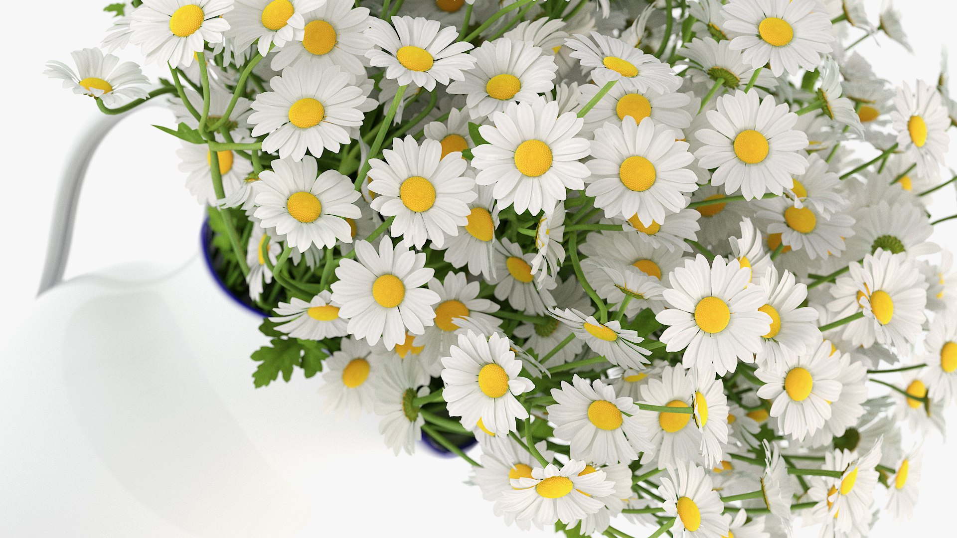 chamomile 3D https://p.turbosquid.com/ts-thumb/5e/TbDtHV/nlo6oJRk/5/jpg/1596649064/1920x1080/fit_q87/6ee5ff86a5ecea26473264575587c0bd9d182806/5.jpg