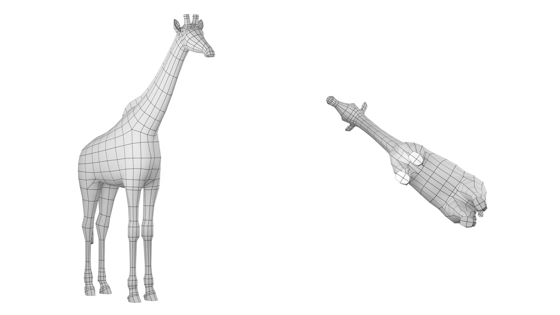 Giraffe Animal Base Mesh 3D Model - TurboSquid 2213673