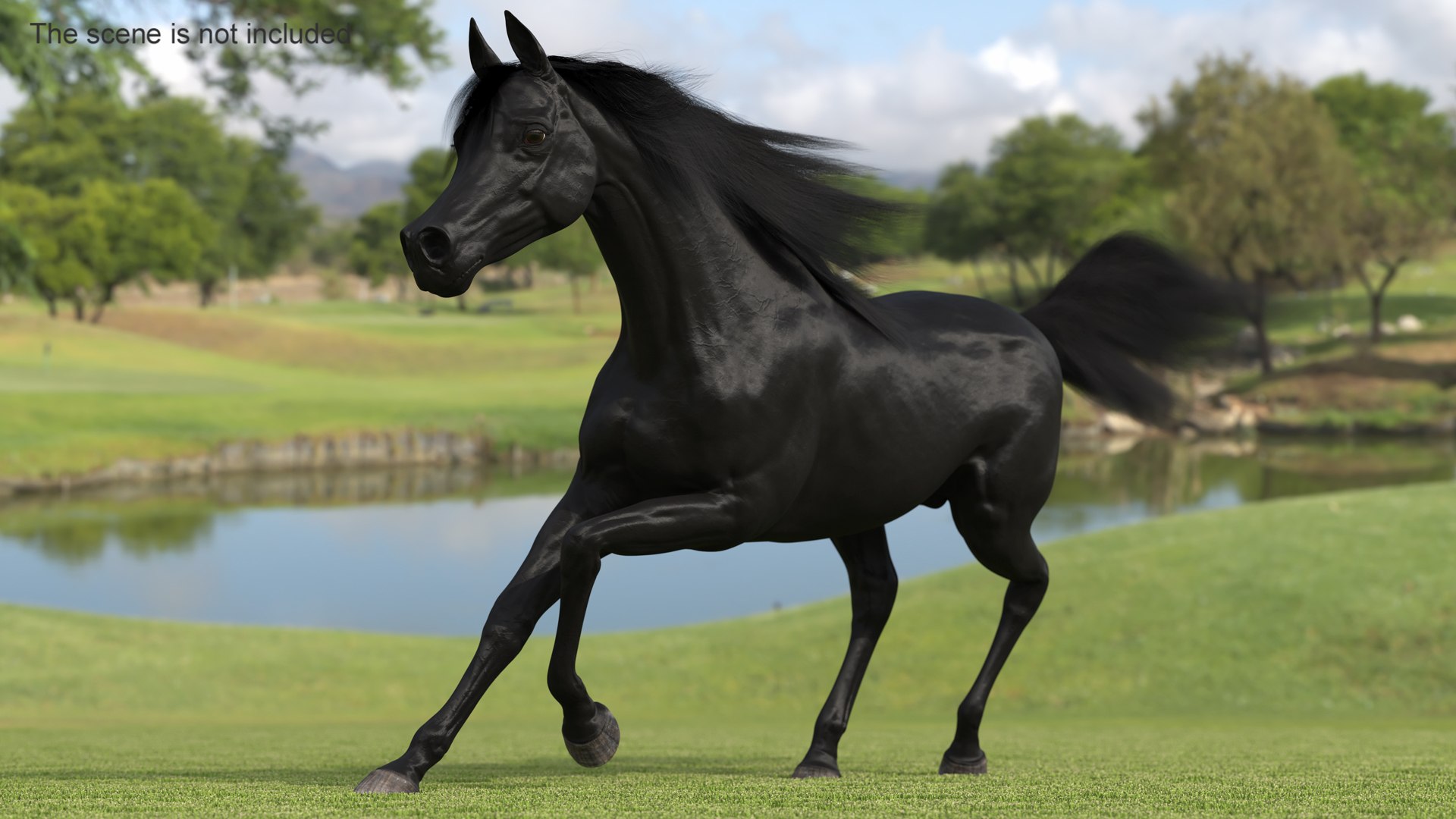 3D Galloping Arabian Horse Black Fur model https://p.turbosquid.com/ts-thumb/5e/lSza6W/1D/gallopingarabianhorseblackfurmb3dmodel002/jpg/1705900468/1920x1080/fit_q87/4d943917750b28a1f13b8b6ef5ad66692fbcca3a/gallopingarabianhorseblackfurmb3dmodel002.jpg