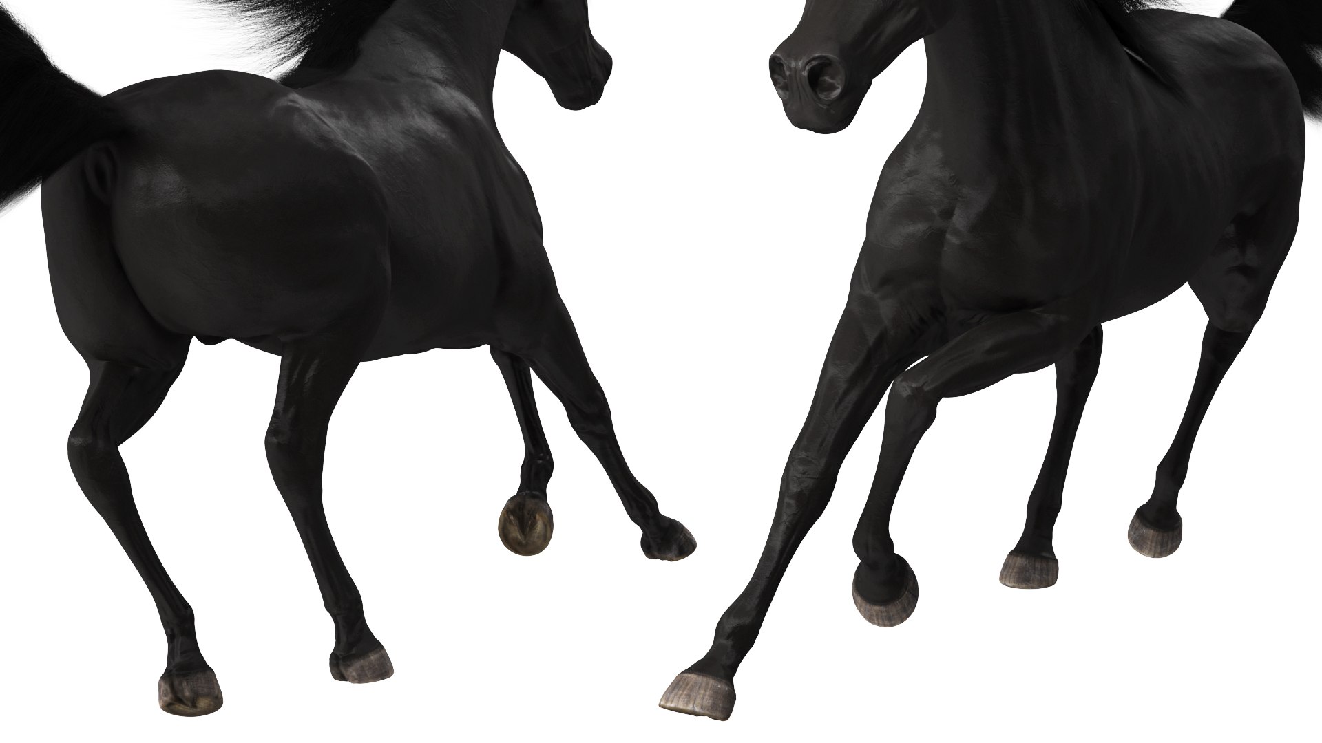 3D Galloping Arabian Horse Black Fur model https://p.turbosquid.com/ts-thumb/5e/lSza6W/2O/gallopingarabianhorseblackfurmb3dmodel010/jpg/1705900507/1920x1080/fit_q87/d37a45d9ab7046062079b52b3c0fca530188ca48/gallopingarabianhorseblackfurmb3dmodel010.jpg