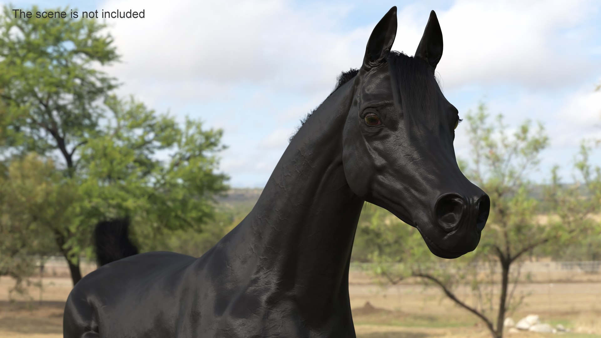 3D Galloping Arabian Horse Black Fur model https://p.turbosquid.com/ts-thumb/5e/lSza6W/3d/gallopingarabianhorseblackfurmb3dmodel003/jpg/1705900473/1920x1080/fit_q87/afee854e73f22e4fd7f606dd393e0b0a26175825/gallopingarabianhorseblackfurmb3dmodel003.jpg