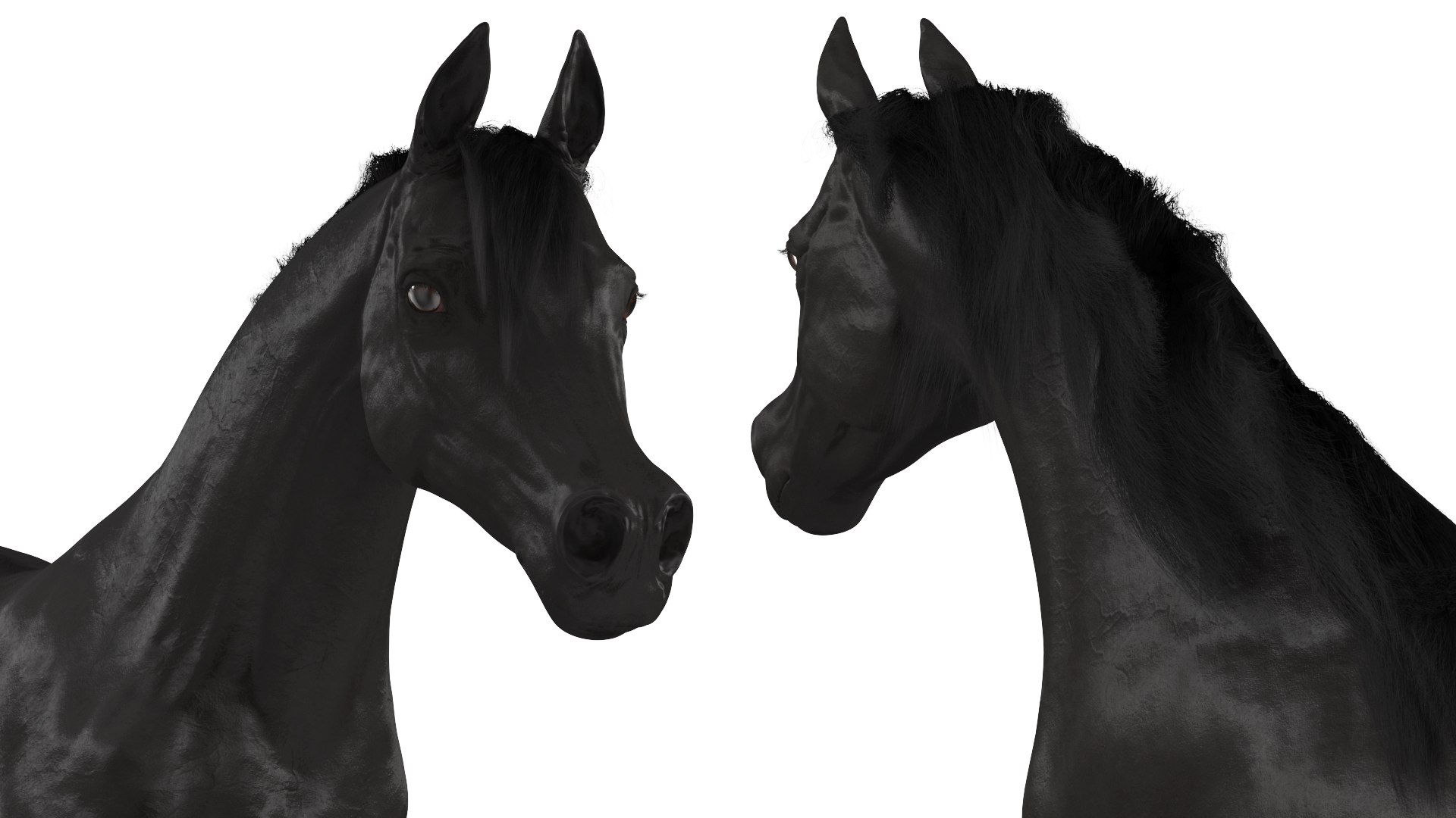 3D Galloping Arabian Horse Black Fur model https://p.turbosquid.com/ts-thumb/5e/lSza6W/4A/gallopingarabianhorseblackfurmb3dmodel009/jpg/1705900502/1920x1080/fit_q87/fb8467d0d792a78472cc59260a4dff0c3258541c/gallopingarabianhorseblackfurmb3dmodel009.jpg