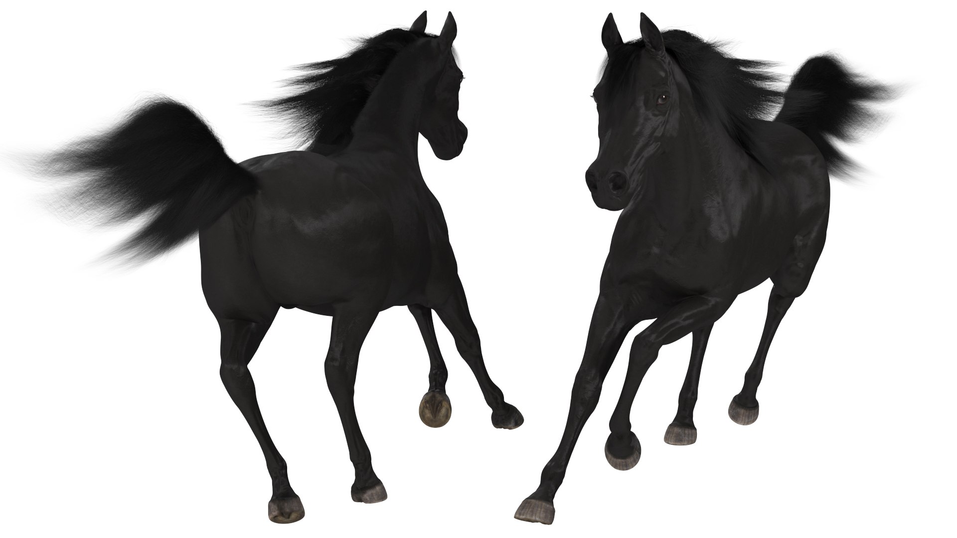 3D Galloping Arabian Horse Black Fur model https://p.turbosquid.com/ts-thumb/5e/lSza6W/BL/gallopingarabianhorseblackfurmb3dmodel006/jpg/1705900489/1920x1080/fit_q87/e1e7f69715f1cf001fcd4262319cd4fccf20cd60/gallopingarabianhorseblackfurmb3dmodel006.jpg
