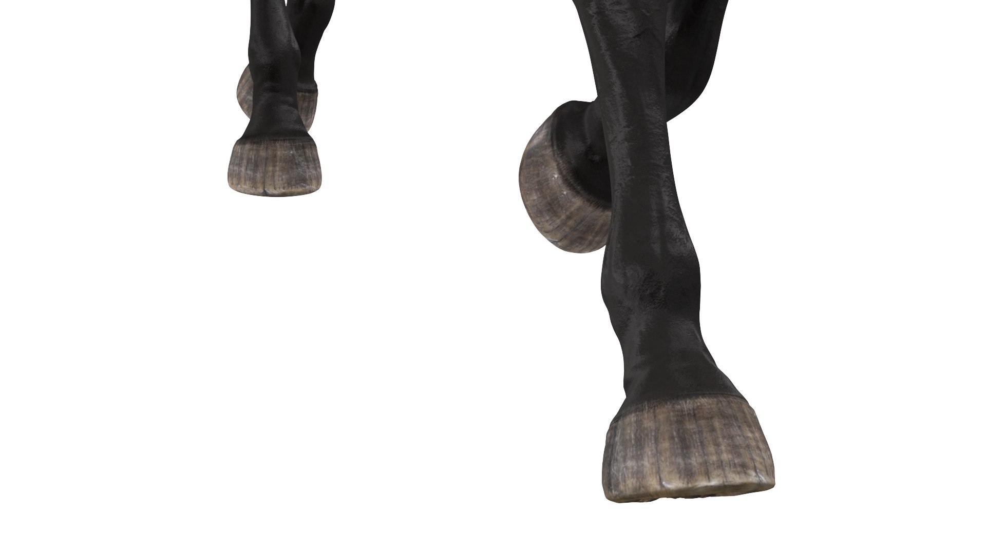 3D Galloping Arabian Horse Black Fur model https://p.turbosquid.com/ts-thumb/5e/lSza6W/LM/gallopingarabianhorseblackfurmb3dmodel011/jpg/1705900512/1920x1080/fit_q87/fe320f2930906d3dd360345567c59c5cd58a3055/gallopingarabianhorseblackfurmb3dmodel011.jpg
