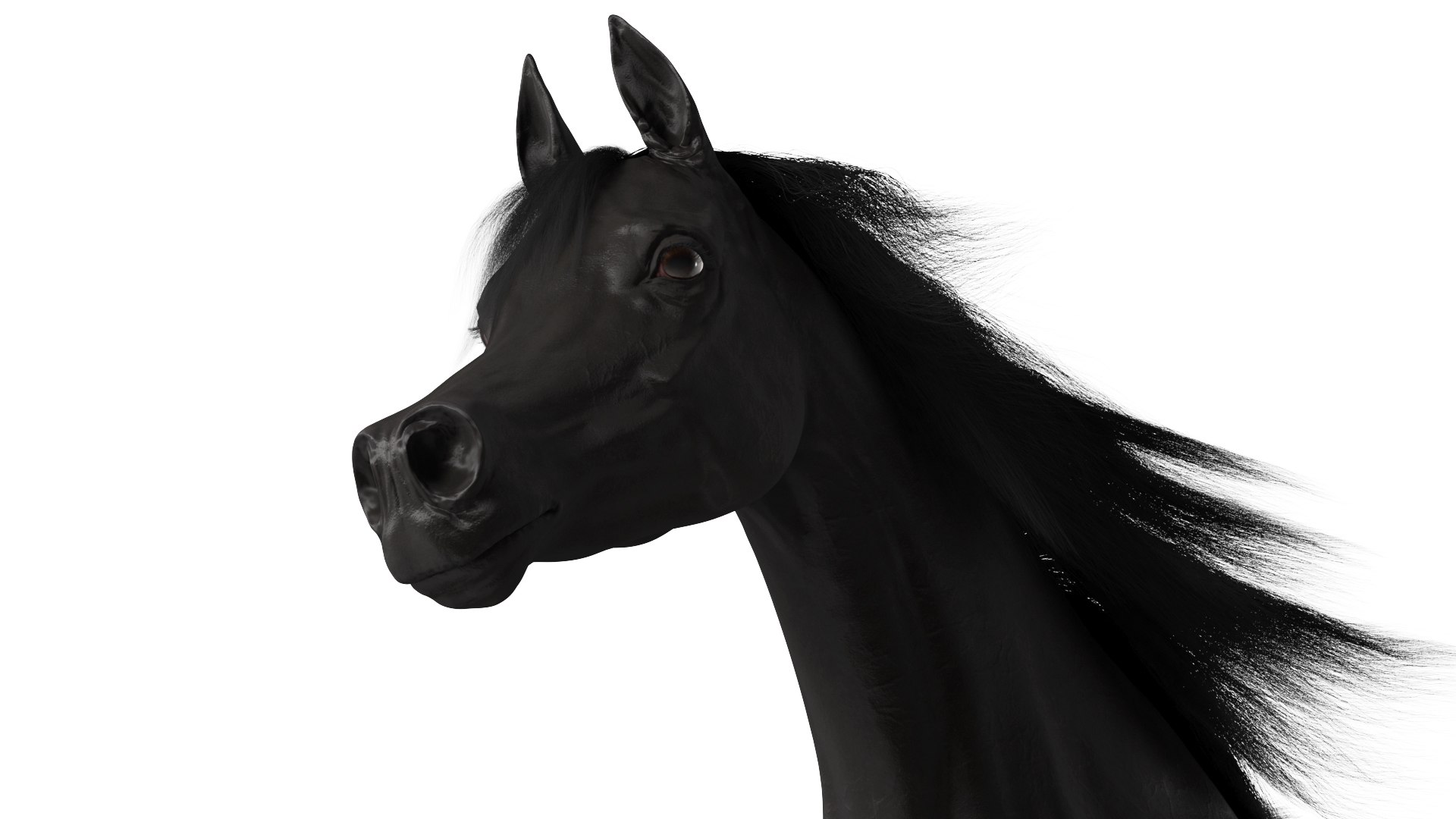 3D Galloping Arabian Horse Black Fur model https://p.turbosquid.com/ts-thumb/5e/lSza6W/Sv/gallopingarabianhorseblackfurmb3dmodel008/jpg/1705900497/1920x1080/fit_q87/0d39e861b5a3275cba4fc239d82544cbb2e03802/gallopingarabianhorseblackfurmb3dmodel008.jpg
