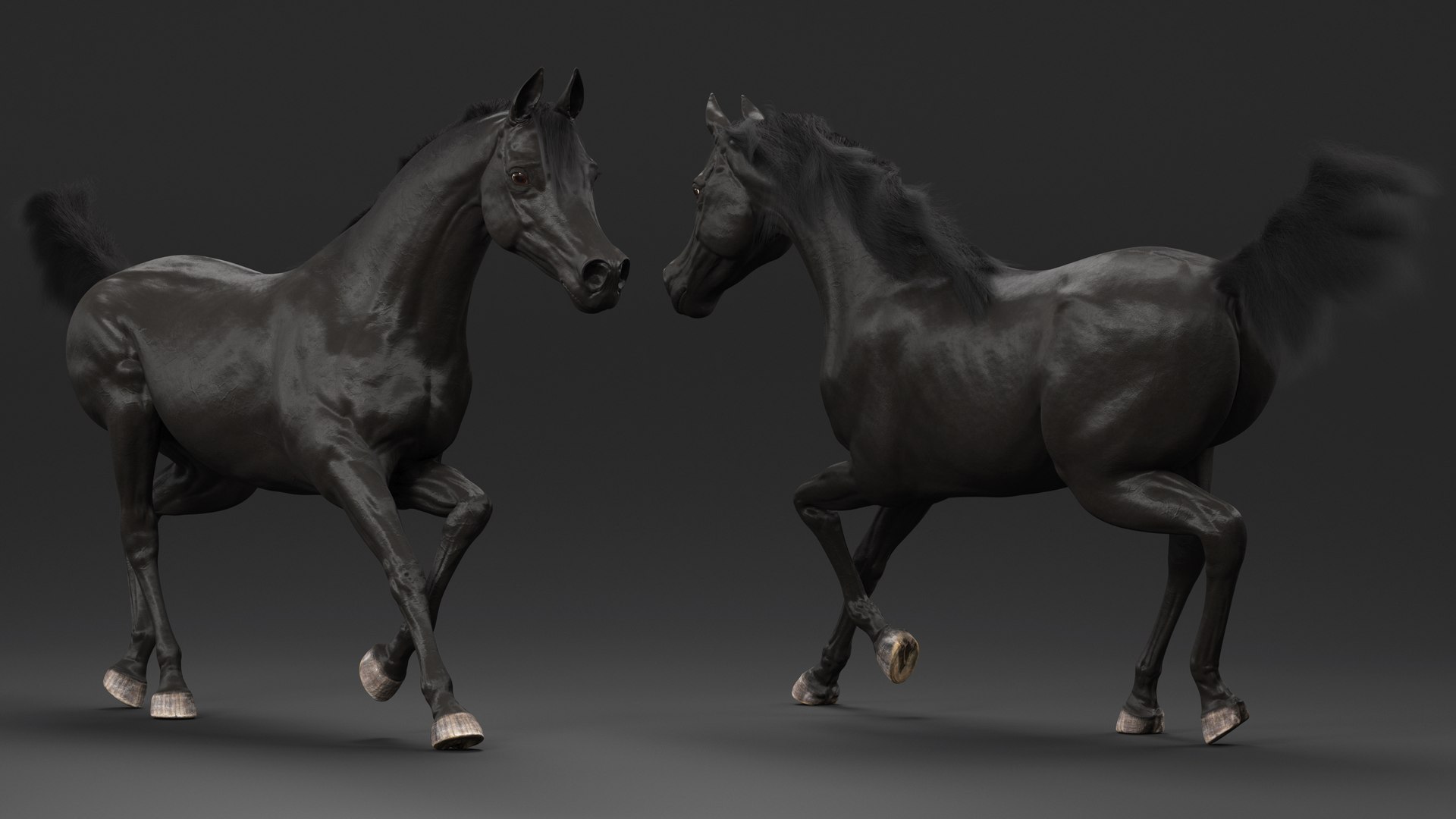 3D Galloping Arabian Horse Black Fur model https://p.turbosquid.com/ts-thumb/5e/lSza6W/Y4/gallopingarabianhorseblackfurmb3dmodel005/jpg/1705900484/1920x1080/fit_q87/7bf8ba02d5a5cbb39ca9846aba145eb2f68e2f47/gallopingarabianhorseblackfurmb3dmodel005.jpg