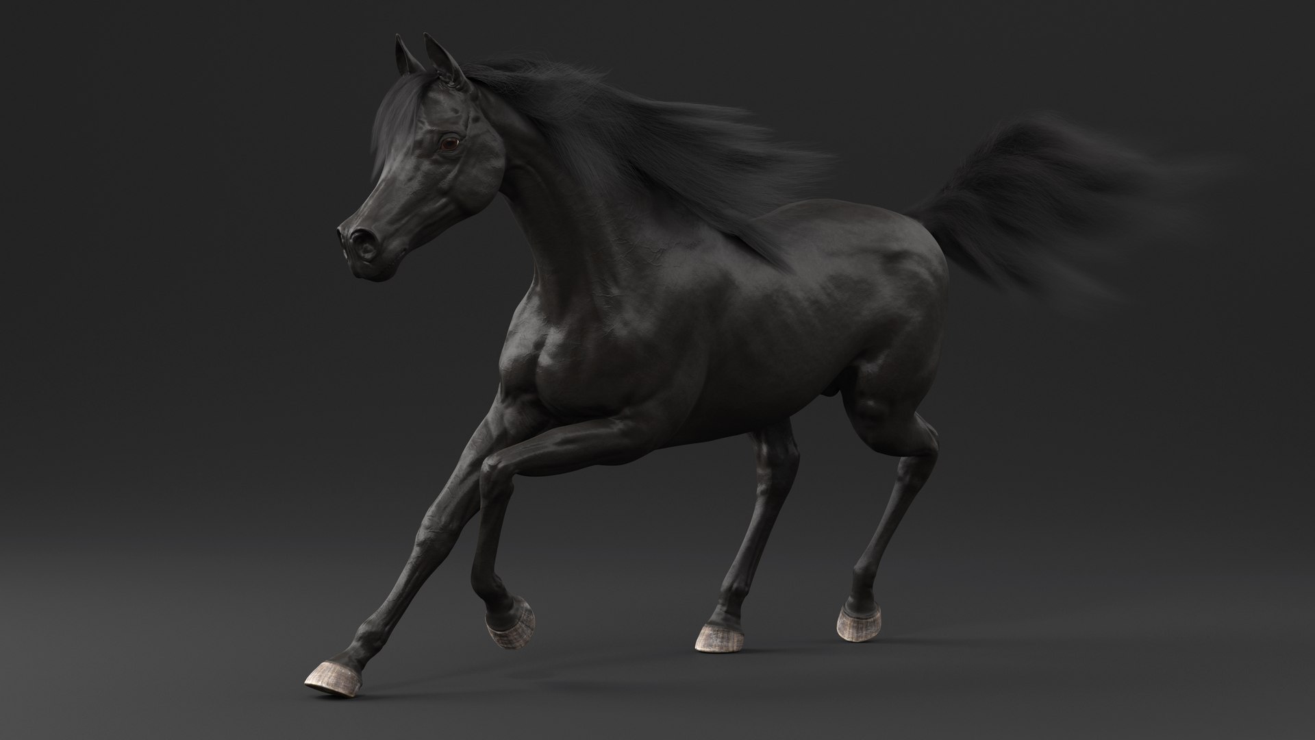 3D Galloping Arabian Horse Black Fur model https://p.turbosquid.com/ts-thumb/5e/lSza6W/ys/gallopingarabianhorseblackfurmb3dmodel004/jpg/1705900478/1920x1080/fit_q87/a26f50e2b993c3fe2bc1658042d174875dc97fe7/gallopingarabianhorseblackfurmb3dmodel004.jpg
