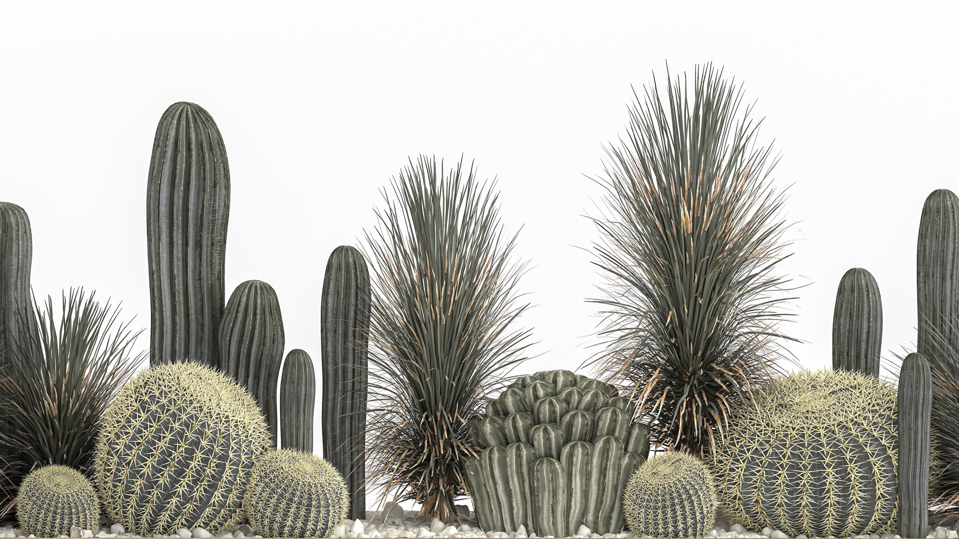 Cactus set in a concrete flowerpot for the interior 1101 3D https://p.turbosquid.com/ts-thumb/5e/mUc0QN/8V/1cactusset1501202204/jpg/1642333020/1920x1080/fit_q87/bcb3f912eb2d51a612e3106fc535624c5d7904cb/1cactusset1501202204.jpg