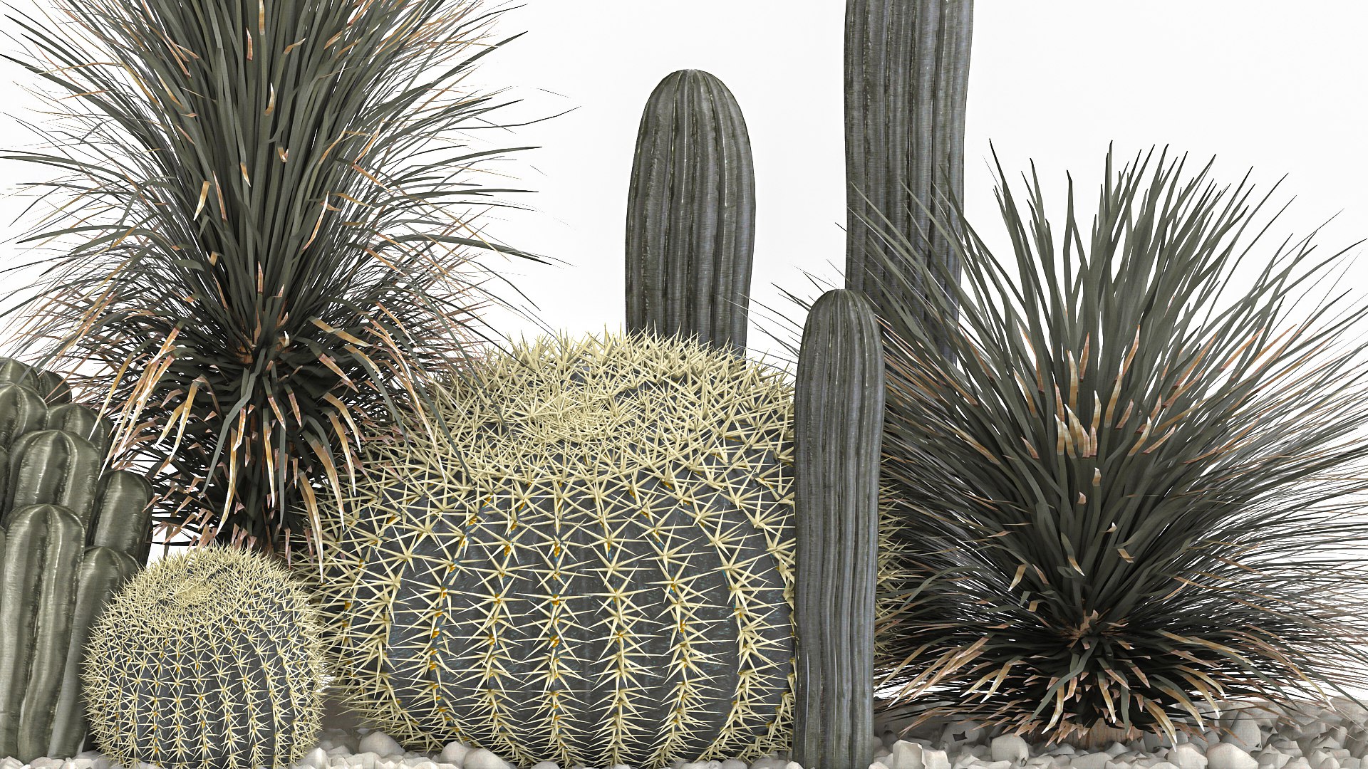 Cactus set in a concrete flowerpot for the interior 1101 3D https://p.turbosquid.com/ts-thumb/5e/mUc0QN/9T/1cactusset1501202205/jpg/1642333020/1920x1080/fit_q87/8d9a2a95b1321e6e3e9eb0a1e0ff0e8dc38f560a/1cactusset1501202205.jpg