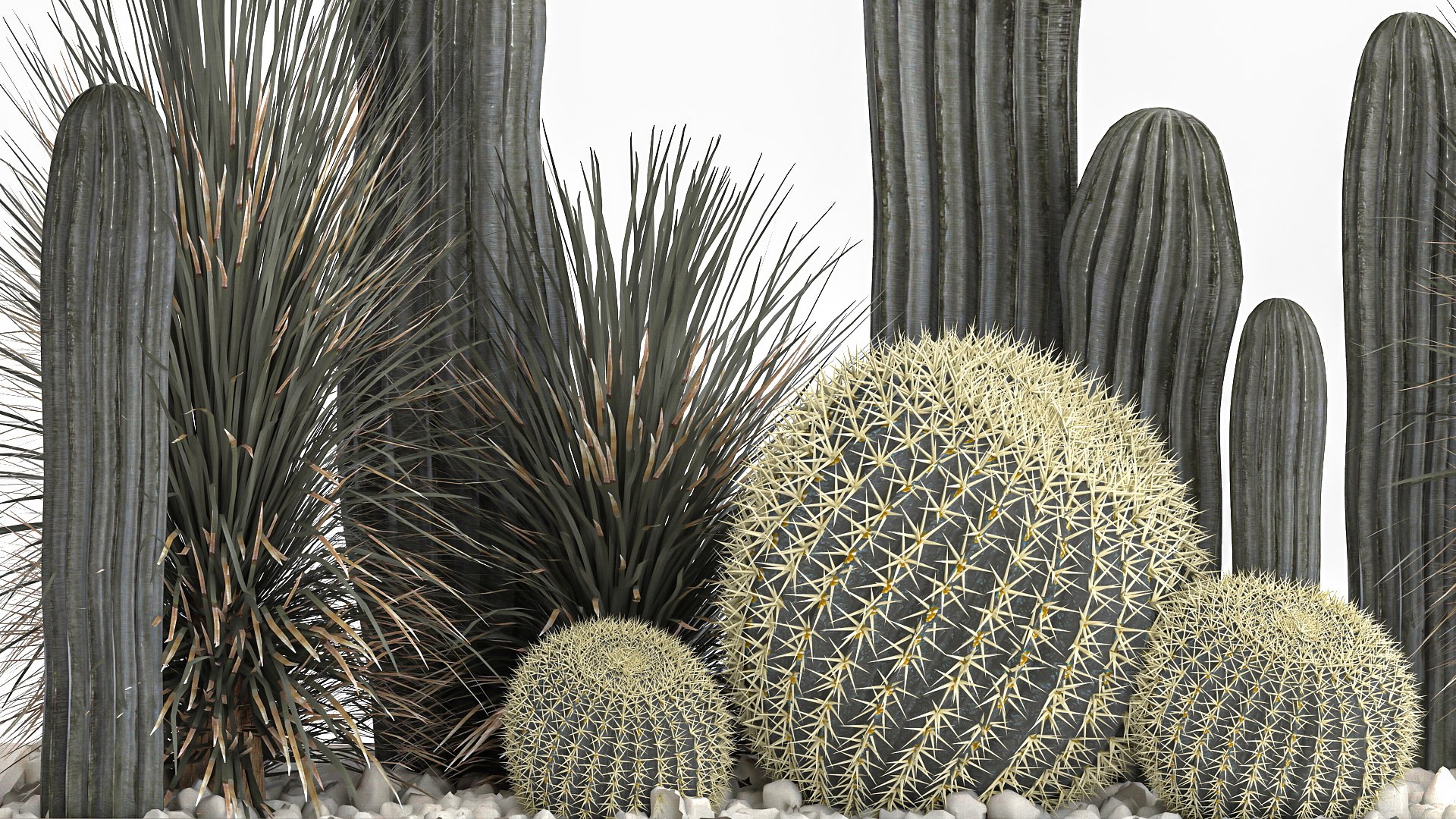 Cactus set in a concrete flowerpot for the interior 1101 3D https://p.turbosquid.com/ts-thumb/5e/mUc0QN/UN/1cactusset1501202207/jpg/1642333023/1920x1080/fit_q87/4215cd06c29f6e69080c30268bbb4caeb548e8b5/1cactusset1501202207.jpg