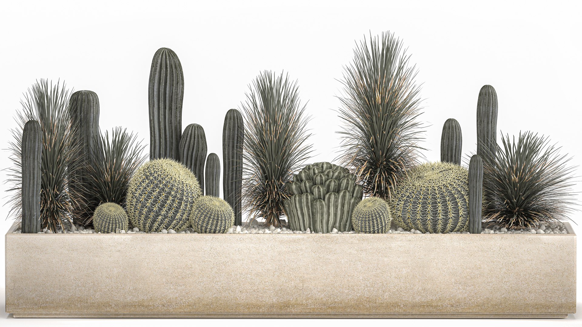 Cactus set in a concrete flowerpot for the interior 1101 3D https://p.turbosquid.com/ts-thumb/5e/mUc0QN/fR/1cactusset1501202203/jpg/1642333024/1920x1080/fit_q87/d329b2570b0a2eead0192aed7e25c54b28772e62/1cactusset1501202203.jpg