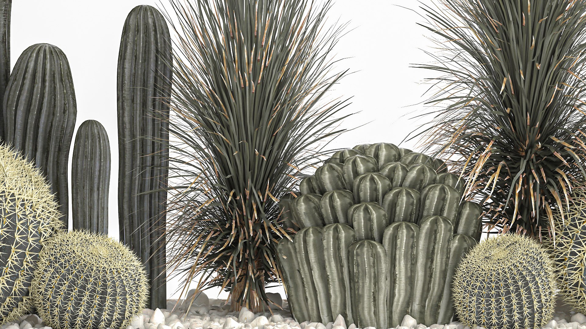 Cactus set in a concrete flowerpot for the interior 1101 3D https://p.turbosquid.com/ts-thumb/5e/mUc0QN/wD/1cactusset1501202206/jpg/1642333025/1920x1080/fit_q87/6421d03b264cb5fb9fdeedd39fc4b3aa4b1b5cba/1cactusset1501202206.jpg