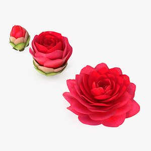 Bud Blossom Evolution