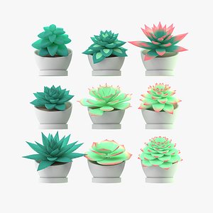Succulents in Pots Collection - Illustrative Cartoon Nature