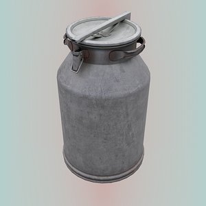 3D model Old water can