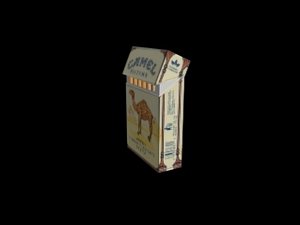 3d camel flip model