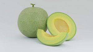 Melon with Sliced 3D model