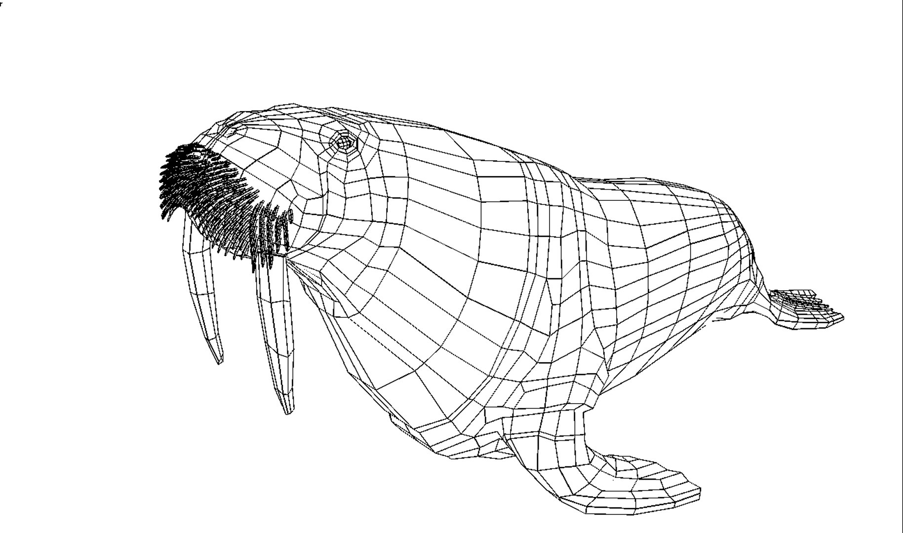 Walrus Lwo