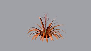 Aechmea Blanchetiana 3D model
