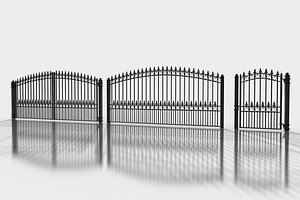 Estate Gate set with Fence