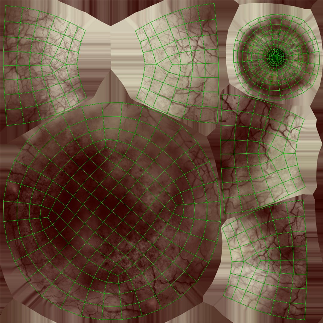 Demo Winged Eye Monster 3D https://p.turbosquid.com/ts-thumb/5f/TW3owY/Bk/uveyecopy/jpg/1746476519/1920x1080/fit_q87/7194cec7be414ffa88a6a345e4a4f3c90400fff4/uveyecopy.jpg
