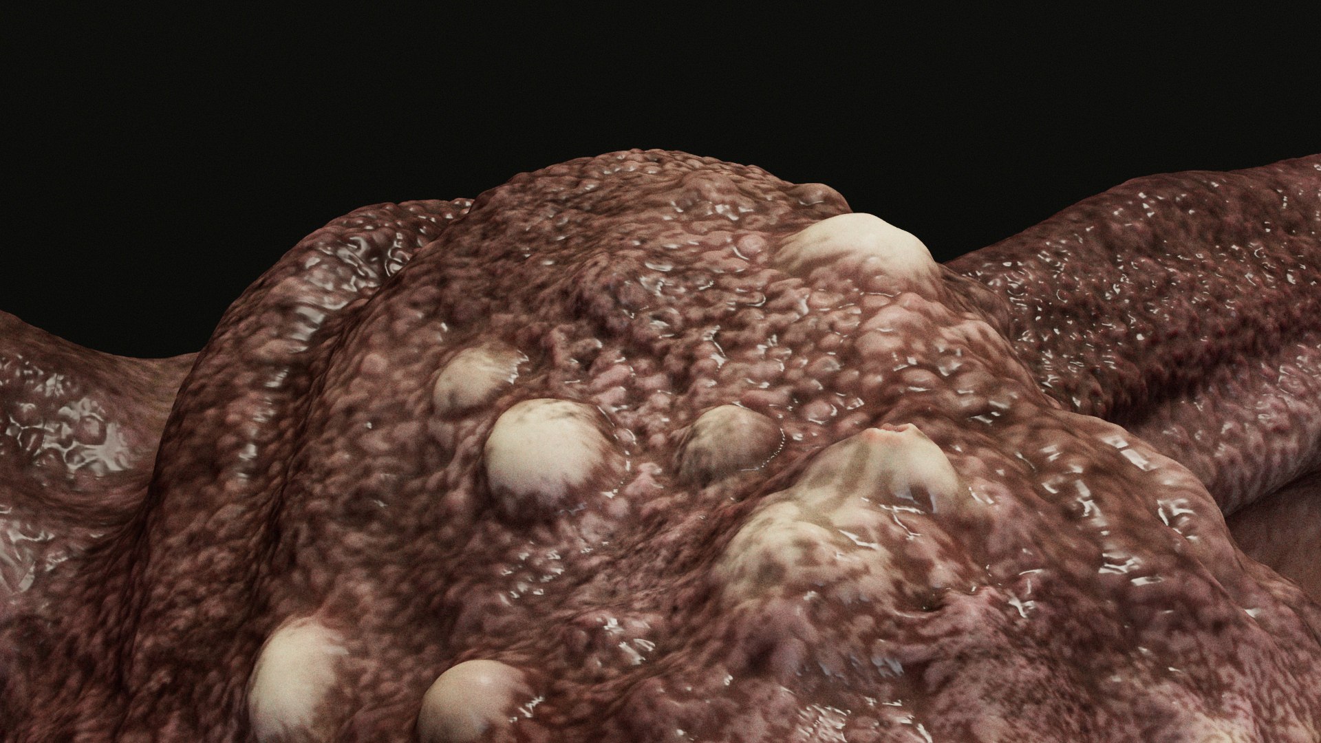Demo Winged Eye Monster 3D https://p.turbosquid.com/ts-thumb/5f/TW3owY/JN/s8/jpg/1746476518/1920x1080/fit_q87/a243c8390ab9b13af35d78835cba6c450295e4fb/s8.jpg