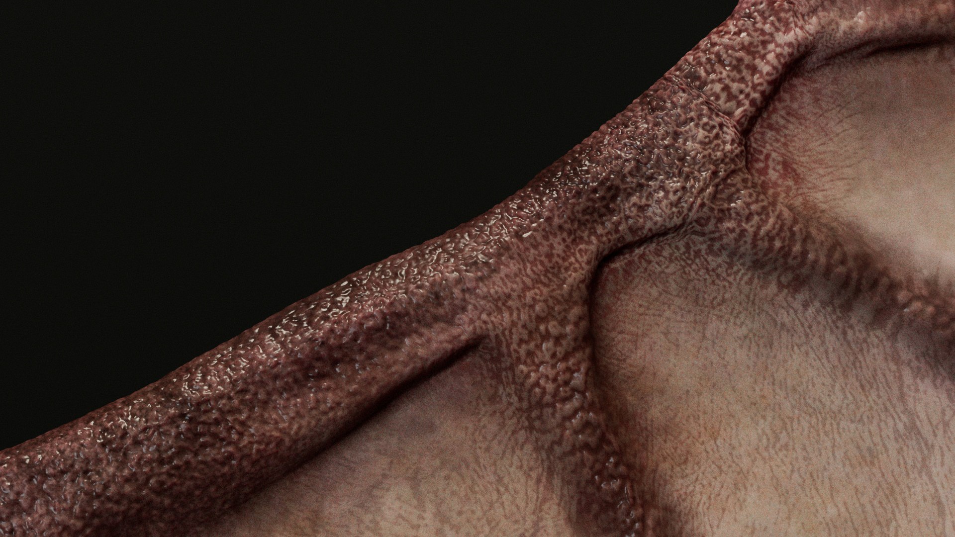 Demo Winged Eye Monster 3D https://p.turbosquid.com/ts-thumb/5f/TW3owY/sz/s7/jpg/1746476519/1920x1080/fit_q87/bbf43e42b012cbf8d0893e767bf96b3a516d3ac9/s7.jpg