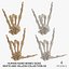 Human Hand Bones Signs White and Yellow Collection 02 - 4 models 3D