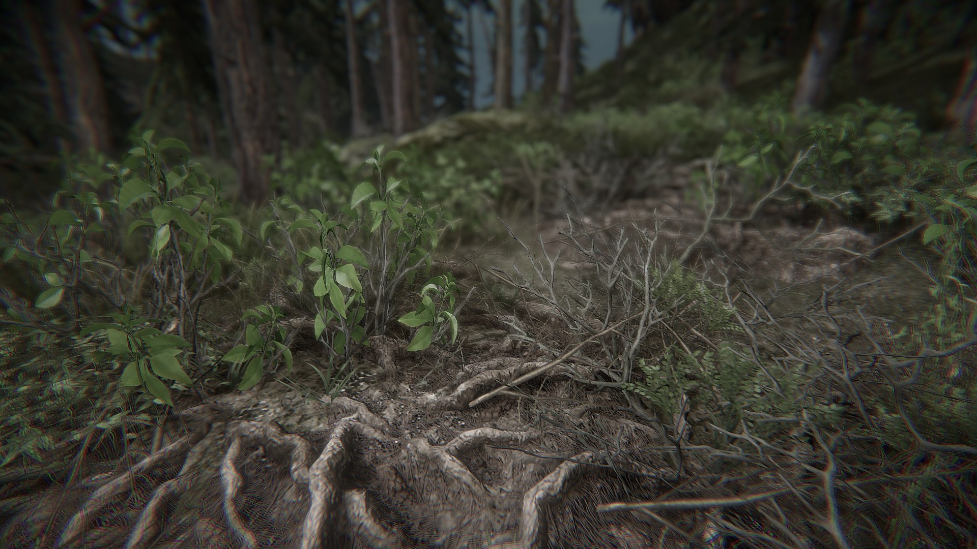 Huge Game Nature Pack 3D https://p.turbosquid.com/ts-thumb/5f/hs2alS/uR/bep_reforged_conifer_forest_03/png/1651623681/1920x1080/fit_q87/9610b1539a60138c37ee2ea92f88fb7dac4760b9/bep_reforged_conifer_forest_03.jpg