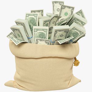 3D Money Bag V17