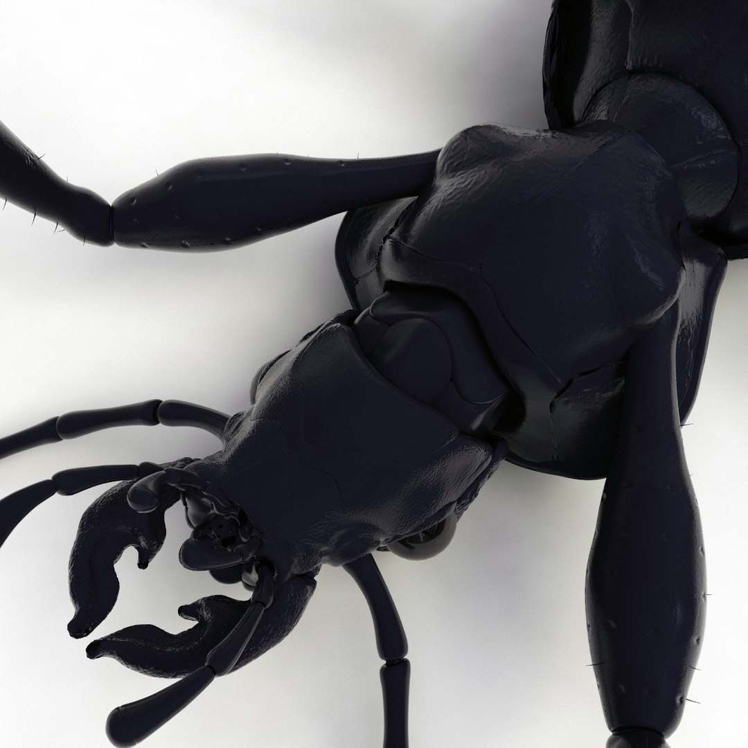 ground beetle max https://p.turbosquid.com/ts-thumb/5f/mlynPj/KyRIvoNm/ground_beetle_16/jpg/1315724291/1920x1080/fit_q87/6c9d5a01add1f306a3b61ec165389f9707adad9f/ground_beetle_16.jpg