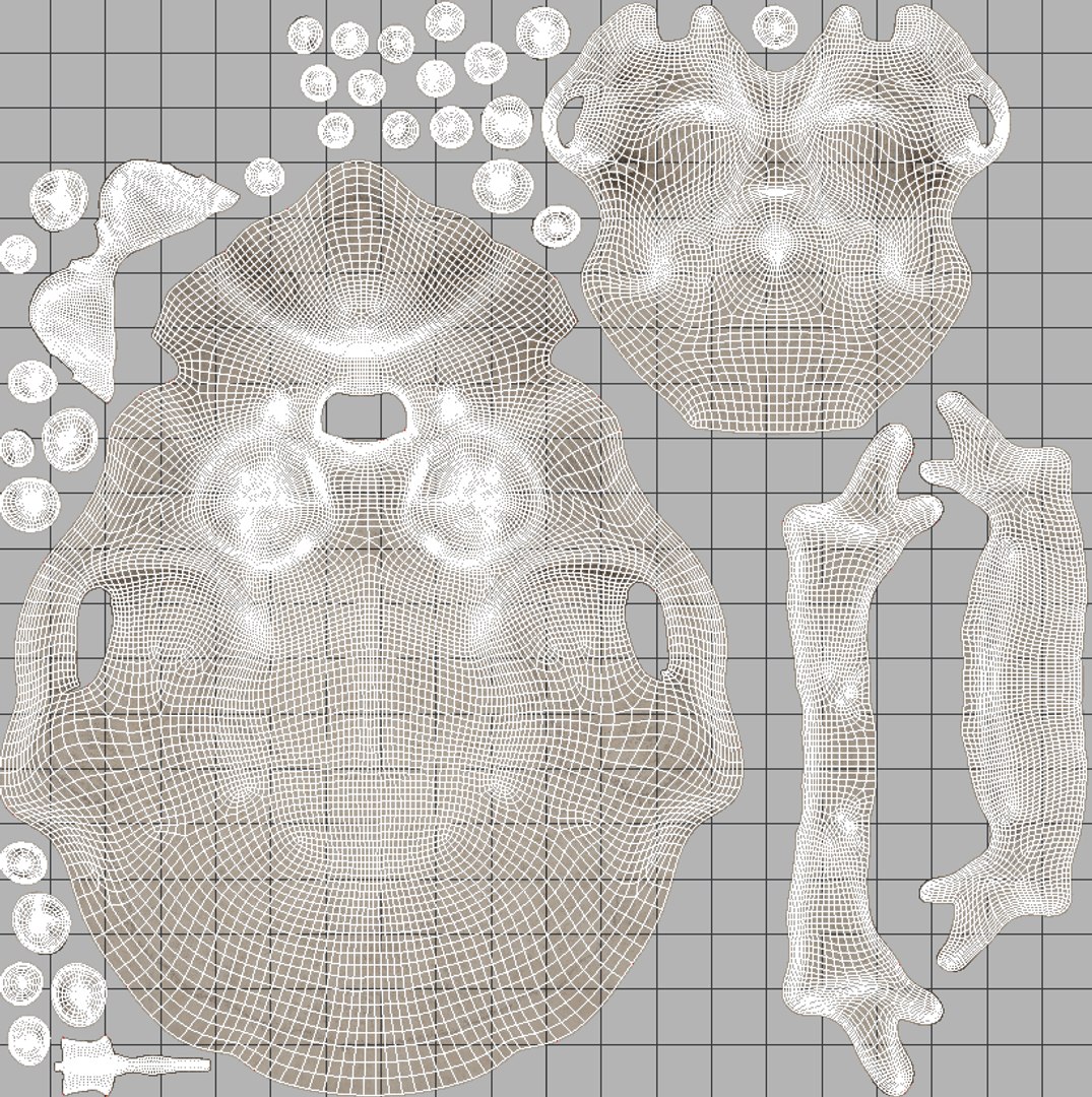 3D Print Human Skull - TurboSquid 1503302