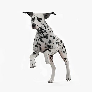 3D Running Spotted Dalmatian Dog Fur model