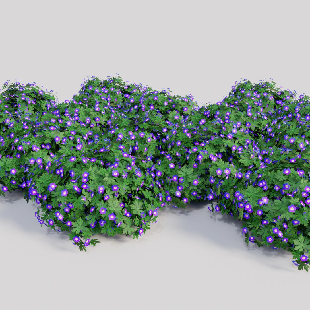 3D geranium purple model https://p.turbosquid.com/ts-thumb/5f/wYOs0J/Xkopixls/purple0004/png/1577807031/1920x1080/fit_q87/a0cdee2f9425ea1f1c9ec07a28cc7ecef4ffc570/purple0004.jpg