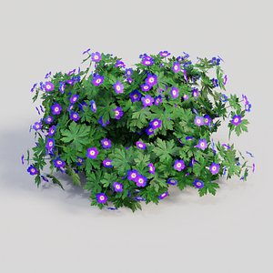 3D geranium purple model