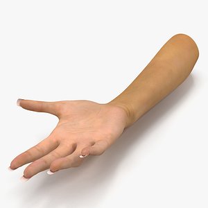 Female Hand Rigged