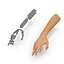 Female Hand Rigged Max