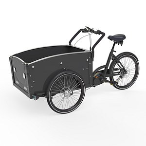 3D Second Gen Cargobike Open Type