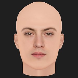 Low Poly Dominic Sessa Head
