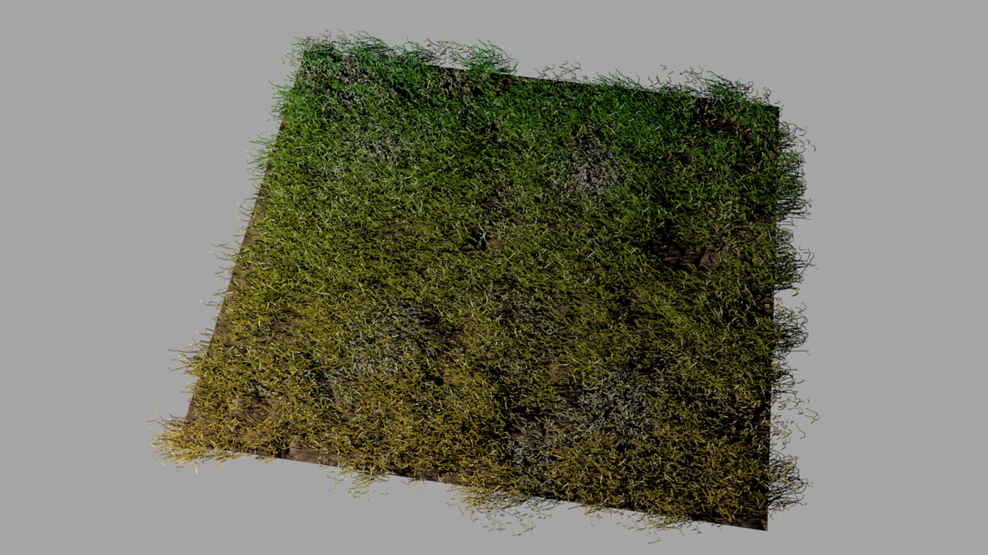 3d grass