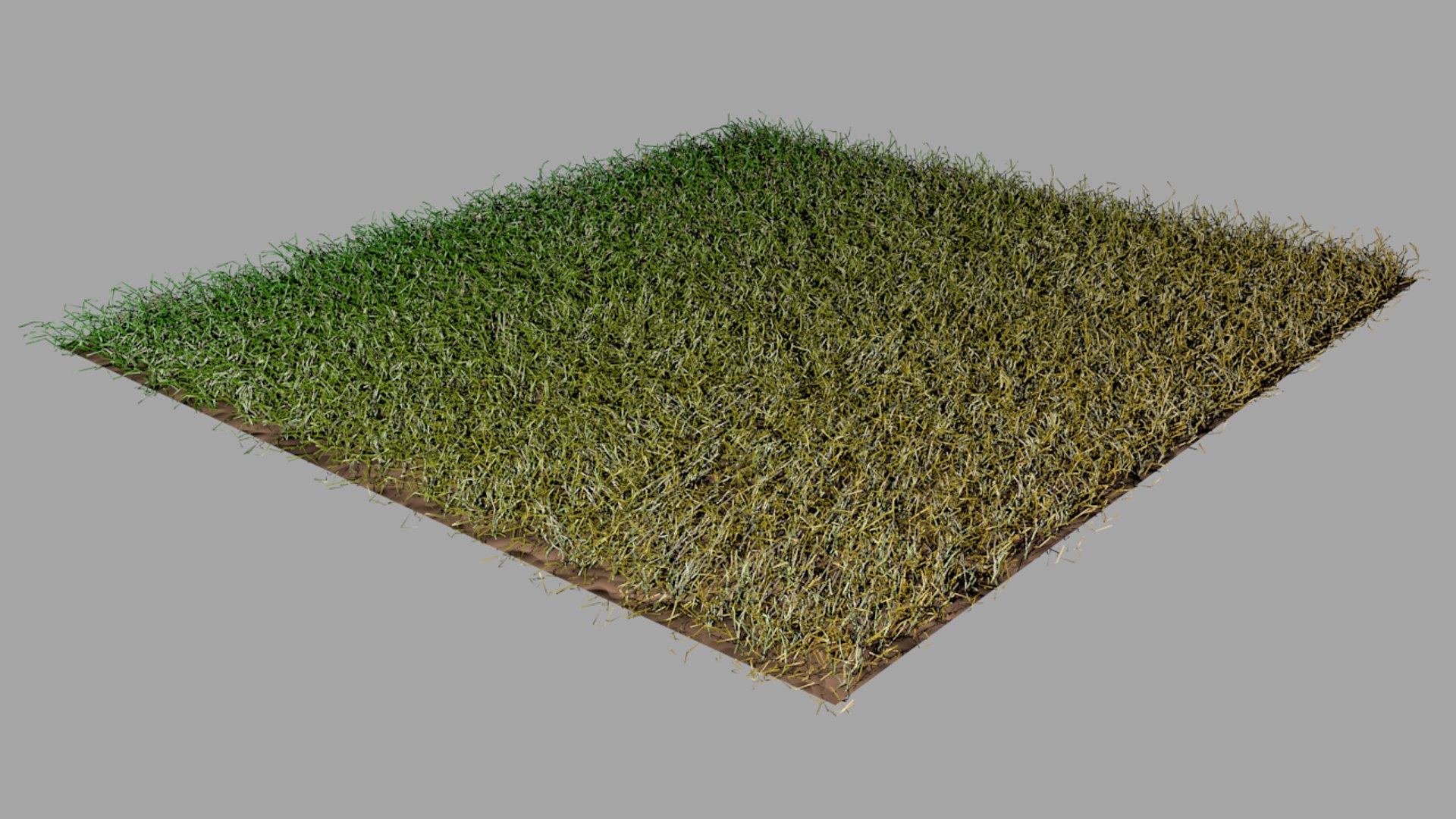 3d grass