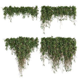 Collection plant vol 680 - bush - ivy - outdoor model