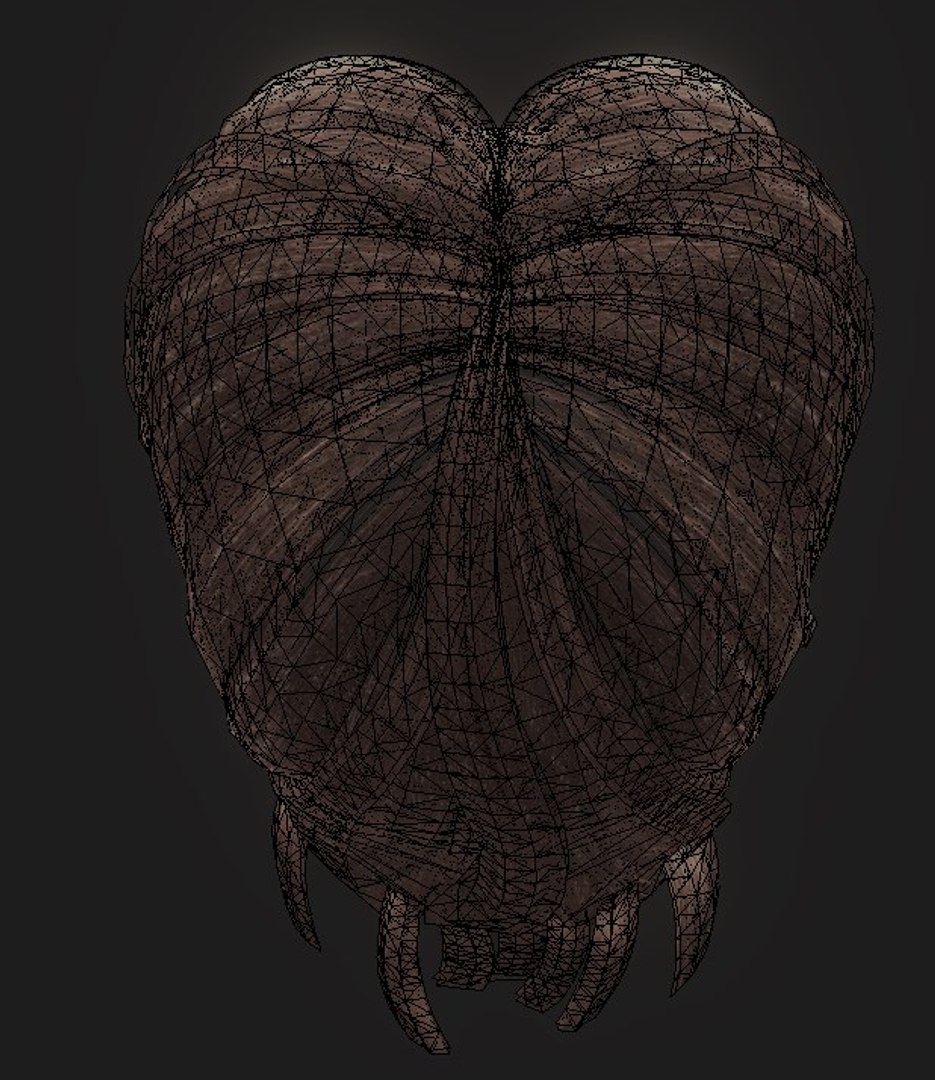 female hair hairstyle 3D model https://p.turbosquid.com/ts-thumb/5g/tpvGGr/UttfYhFc/16/jpg/1553957089/1920x1080/fit_q87/9b52eb664b76991fa96f952ce07488c424997ae5/16.jpg