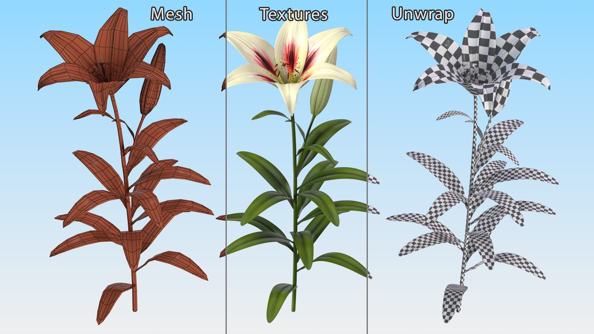 3D Realistic Lily Flower Plant - TurboSquid 2246847