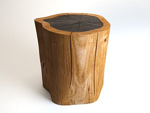 Kaiowa model