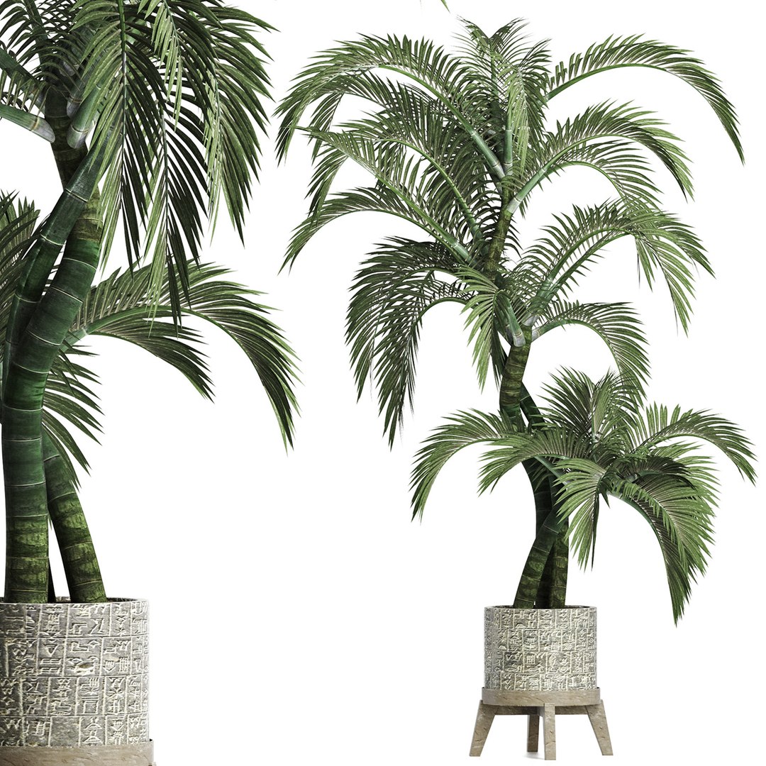 Egyptian plant palms 3D model - TurboSquid 1681705