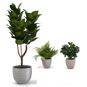 3D indoor plants pots