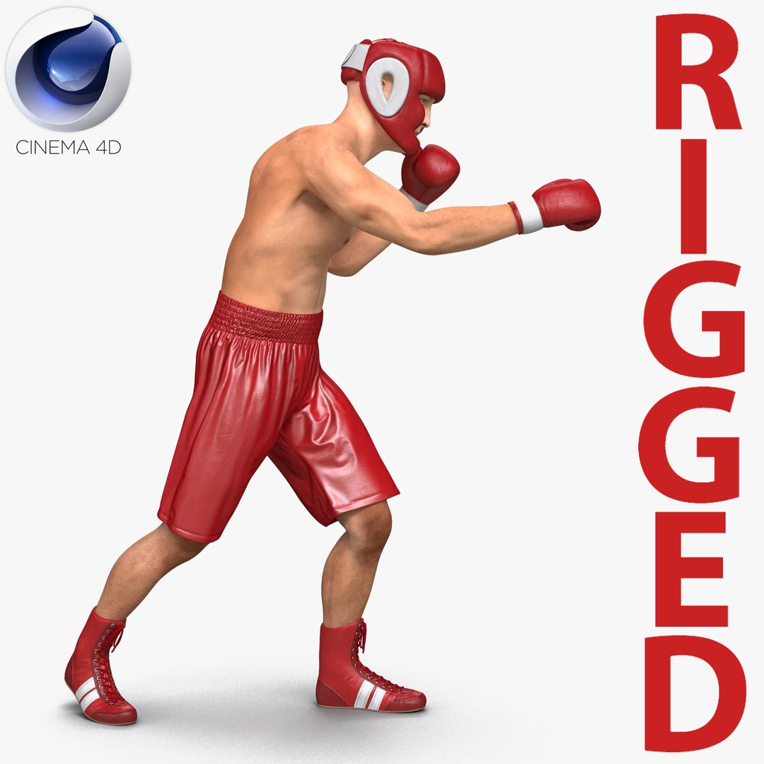 Boxer Man Rigged for Cinema 4D 3D model preview